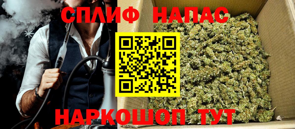Канабис планчик Морозовск